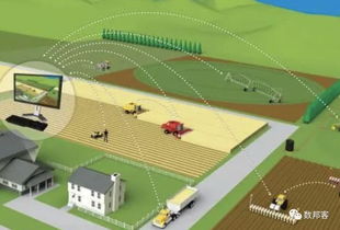 區塊鏈未死 2019年農業領域或將浴火重生，技術交流引領變革